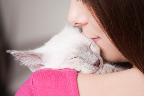 dDormir avec un chat présente des avantages et des inconvénients