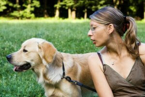 Votre chien n'écoute pas quand vous lui donnez un ordre ?
