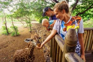 Est-il dangereux de donner de la nourriture aux animaux du zoo ?