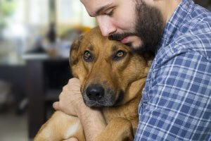 les chiens nous connaissent mieux que quiconque