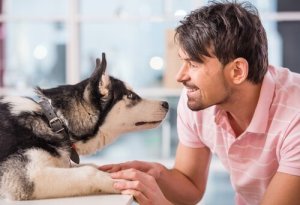 8 choses à demander à un éthologue