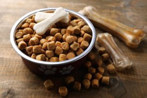 Les glucides dans les croquettes des chiens et des chats : de quoi s'agit-il ?