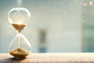 Les chiens ont-ils la notion du temps ?