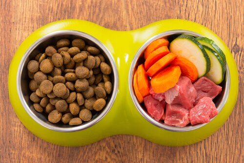 aliments industriels ou faits maison pour chiens