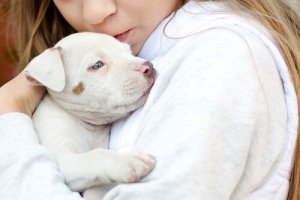 Trouble du spectre de l'autisme : les animaux comme thérapie