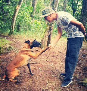 Bones, un chien qui recherche les personnes disparues