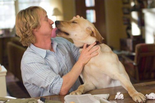noms pour chiens