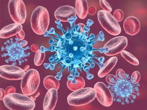 Les méthodes de la régulation homéostatique