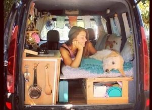 Comment voyager avec son chien ?