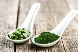 La chlorella pour les chiens : 3 bienfaits principaux