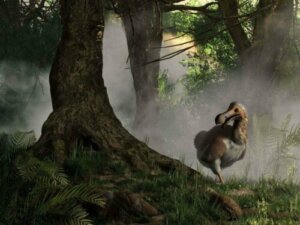 Le dodo : l'histoire d'un oiseau disparu