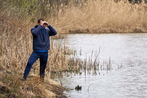 Un homme observant les oiseaux avec des jumelles
