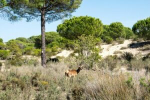 Le réseau Natura 2000