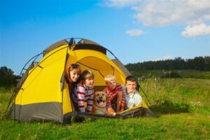 Les colonies de vacances avec des chiens, que dit la loi ?