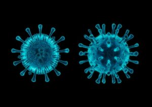 5 données à savoir sur le coronavirus canin
