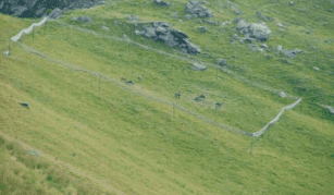 Des filets de capture du chamois