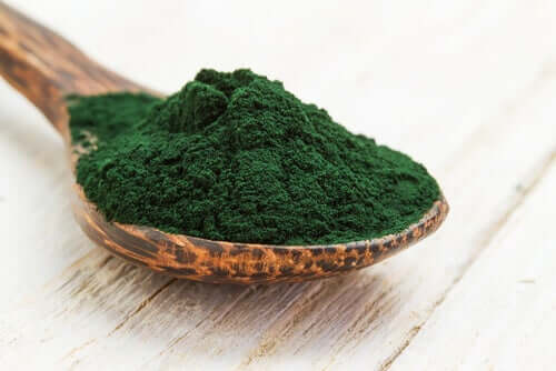 De la spiruline dans une cuillère