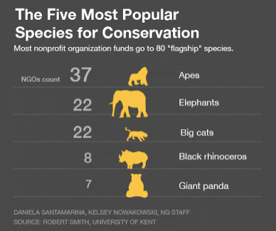 Les espèces protégées et la biodiversité