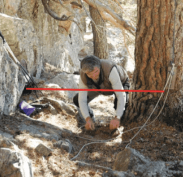 La capture du chamois au moyen de liens