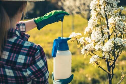 Les pesticides participent à la pollution qui impacte sur la santé des chiens