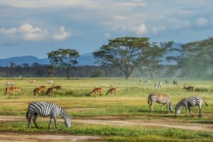 Toutes les espèces ont-elles la même utilité pour la conservation de la biodiversité ?