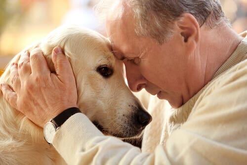 Les 6 animaux domestiques qui vivent le plus longtemps