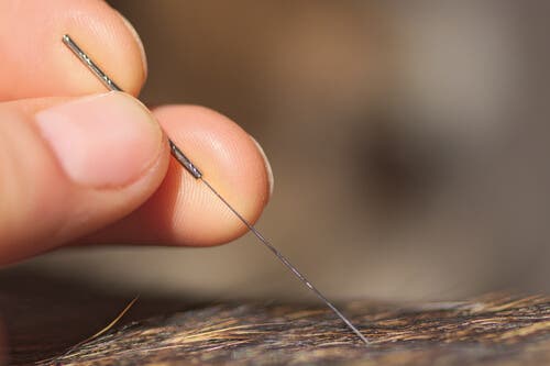 L'acupuncture chez les chiens