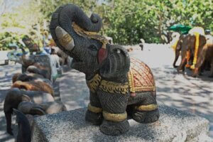 Histoire des civilisations et des éléphants