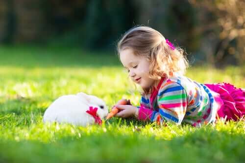 Qu'est-ce que la thérapie par le lapin ?