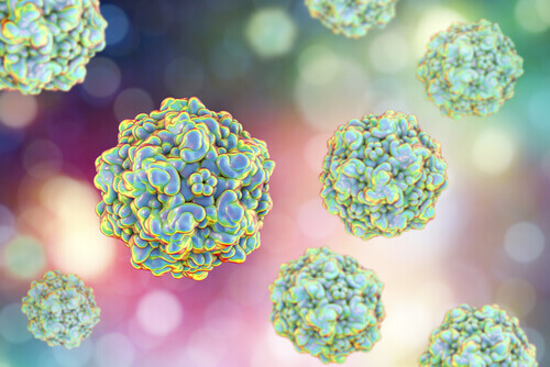 Micro-organismes qui provoquent de la fatigue chronique chez les animaux