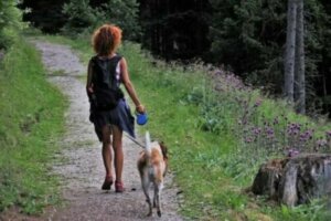 Cinq conseils pour faire du camping avec un chien