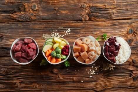 Adapter la quantité de calories journalière selon l'âge de l'animal.