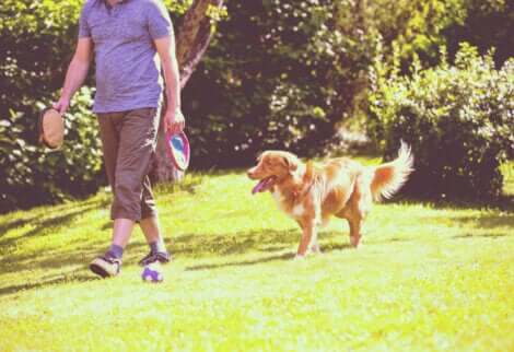 Les chiens suivent leurs maîtres pour une question de survie.