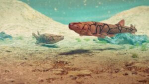 La bioluminescence des requins dans les fonds marins.