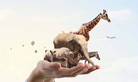 Que sont les trophées bien-être animal ?