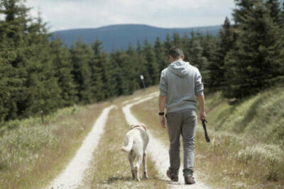 Pourquoi les chiens suivent-ils leurs maîtres ?