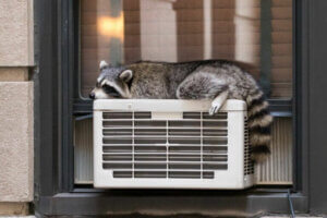 La thermorégulation chez les animaux