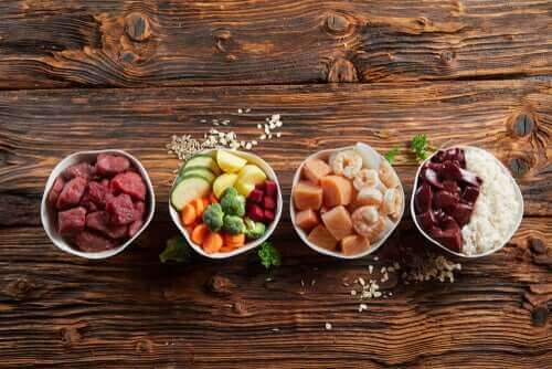 La nutrition peut-elle être bénéfique à votre animal ?