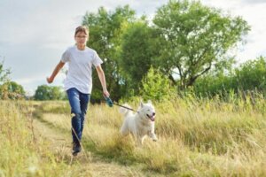 En Allemagne, promener son chien deviendra obligatoire
