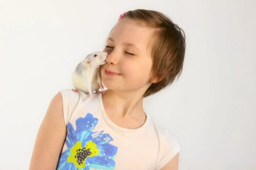 Comme les humains, les animaux sont des êtres complexes.