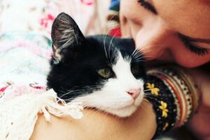 Comment savoir si votre chat vous aime ?