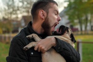 Les chiens perçoivent le stress de leurs maîtres