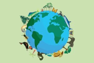 Combien d'espèces animales y a-t-il sur Terre ?