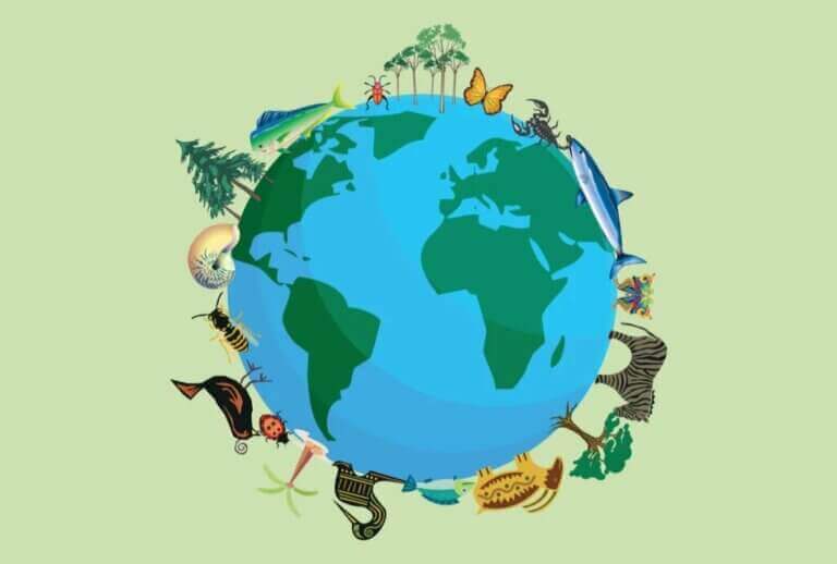Combien d'espèces animales y a-t-il sur Terre ?