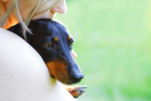 Des femmes qui se sont battues pour les droits des animaux