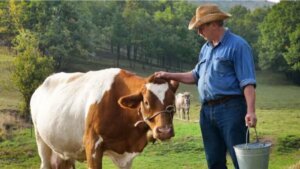 Les mycotoxines et la production animale