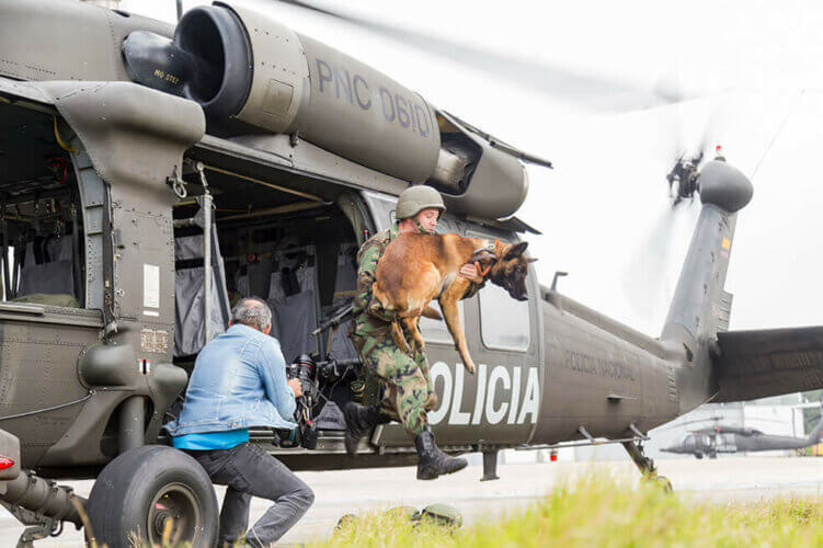 Un chien policier en action.
