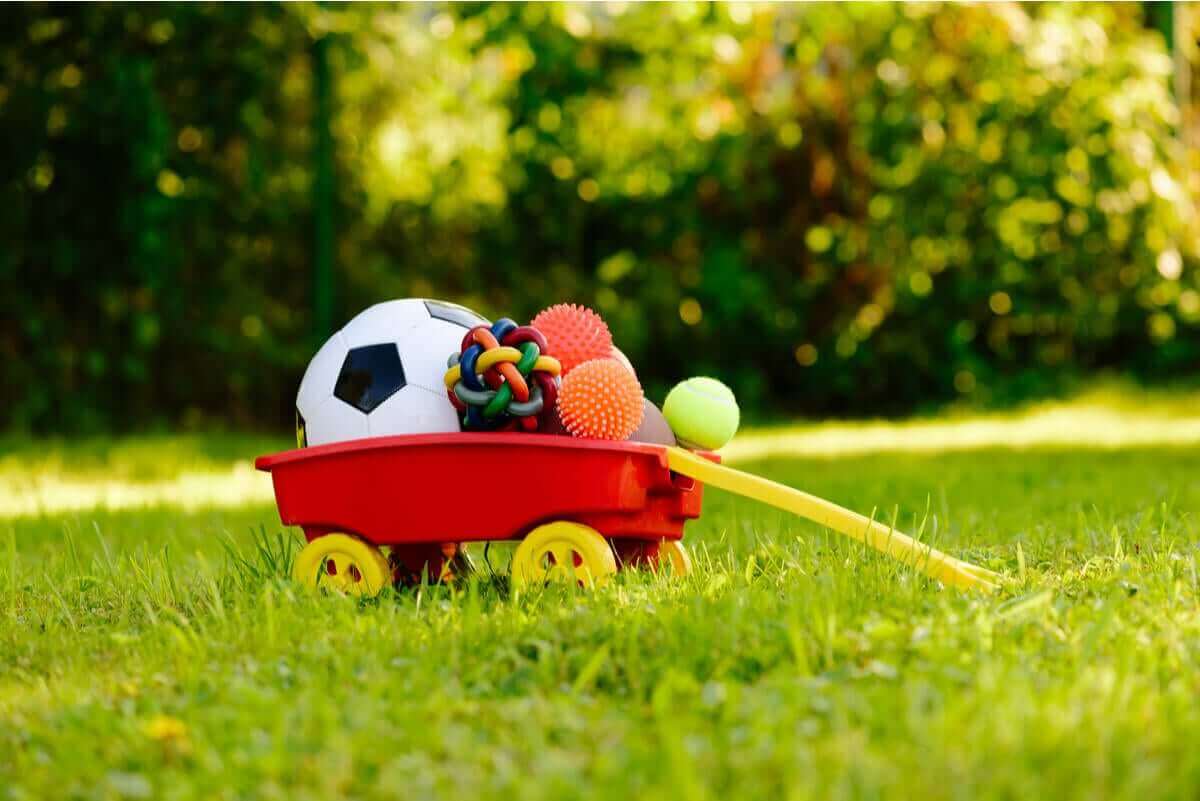 Le jeu stimule mentalement les chiens.