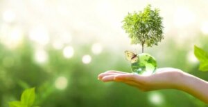 Qu'est-ce que la succession écologique ?