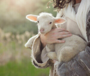 Les diarrhées néonatales chez les petits ruminants